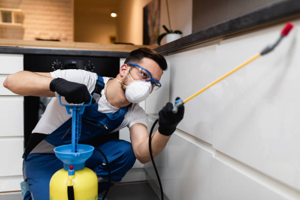 Best Local Pest Control Services  in Lena, IL