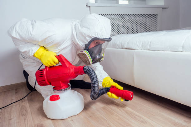 Trusted Lena, IL Pest Control Experts