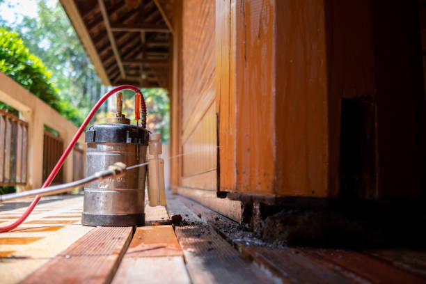 Best Mosquito Control Services  in Lena, IL