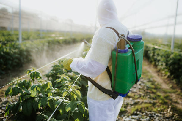 Best Flea Control Services  in Lena, IL